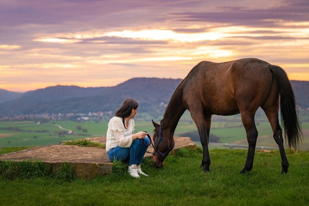 Praticienne bien-être animal observant un cheval après une séance bien-être animal près de Saverne