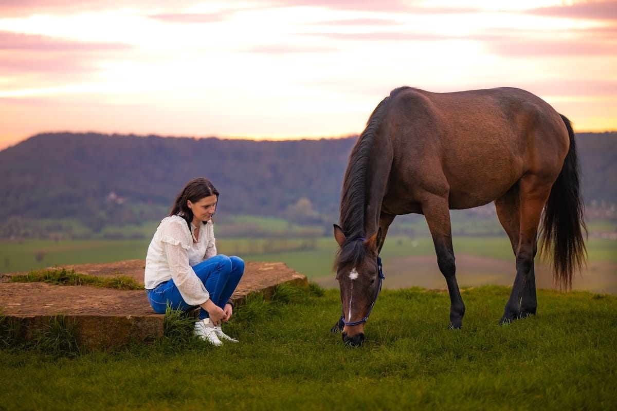 Praticienne bien-être animal observant un cheval après lui avoir prodigué des soins naturels