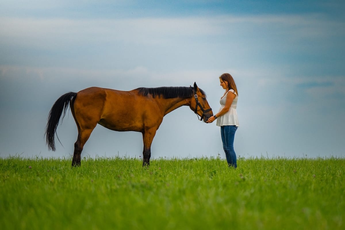 Praticienne spécialisée en soin animalier proche d'un cheval