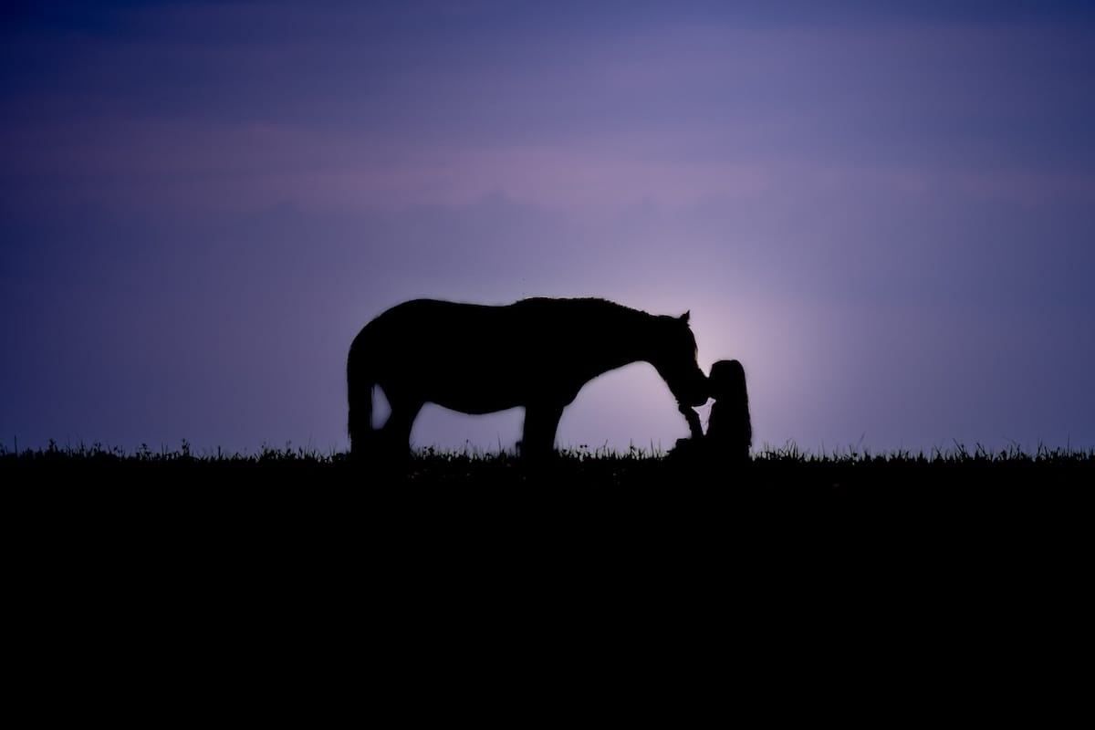 Lien profond entre une jeune fille et un cheval