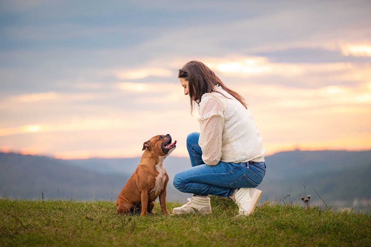 Regard plein de tendresse et d'émotions entre un chien et la praticienne bien-être animal