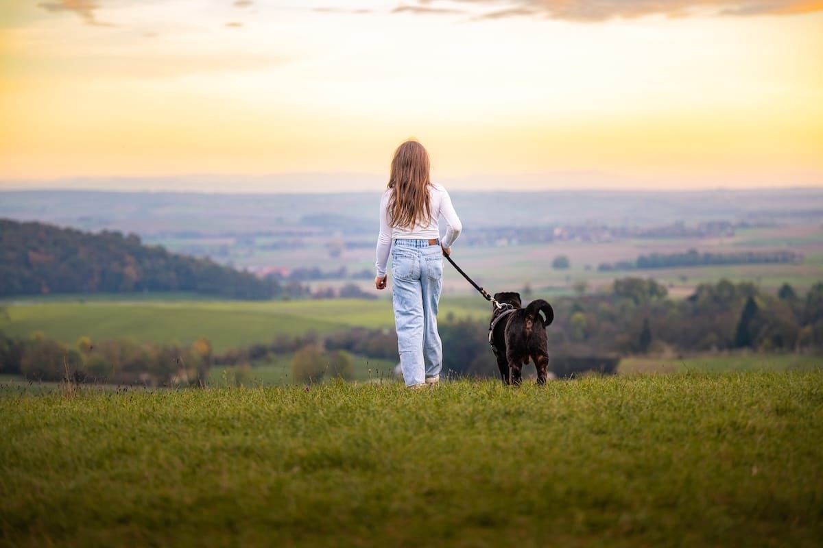 Jeune fille promenant son chien dans la nature