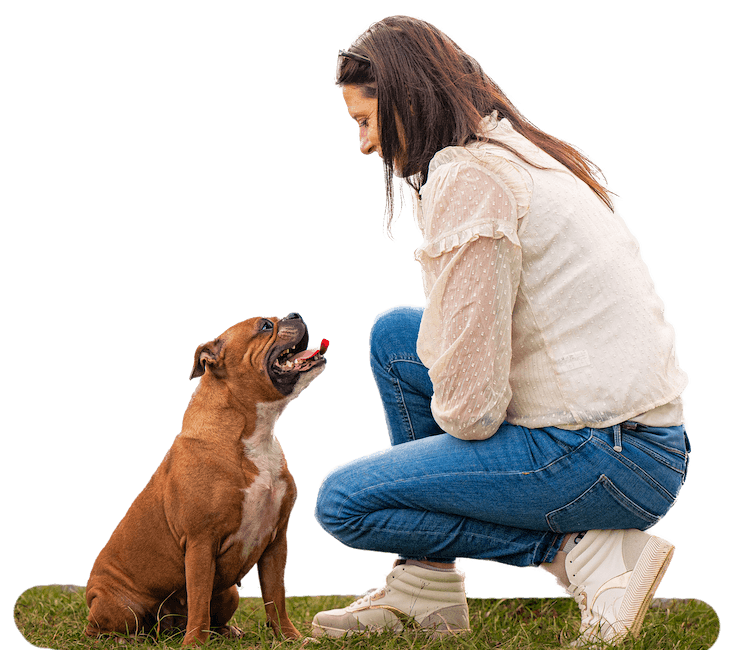 Regard chien praticienne transparence